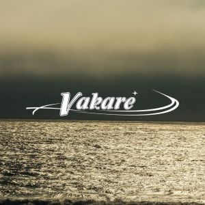 PASIPLAUKIOJIMAI LAIVU VAKARĖ KAUNO MARIOSE