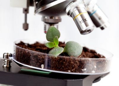 Biologinių preparatų žemės ūkiui gamyba