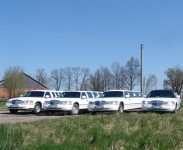 JAAVV, UAB draudimas, limuzinai