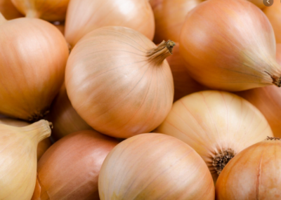 EKOLOGINĖ SĖKLININKYSTĖ, ŽŪK