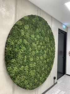 Gaja Decor Group