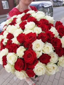 SKOUDA KVIETKA, MB SAVERIKA