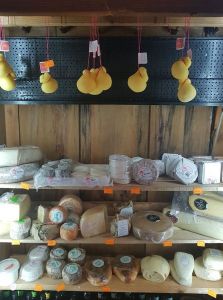 MERKIO SŪRINUKAS, MB - sūrininkai Dargužiuose, sūriai gamyba, prekyba