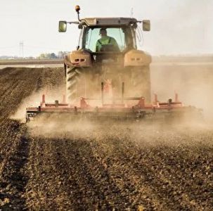 DAUJA, ŽŪB - žemės ūkio paslaugos, arimas, sėjimas, pjovimas, mulčiavimas Klaipėdos apskrityje