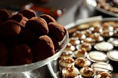 PAUKŠTUKAS PŪGA, UAB CINAMONO RŪKAS