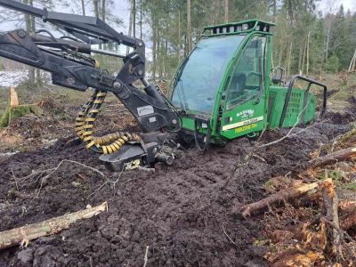 KAMILĖS GILĖ, UAB - miško pirkimas, visos miškininkystės paslaugos Druskininkai, visa Lietuva