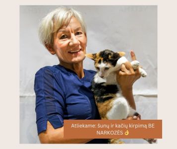 Šunų ir kačių kirpimas