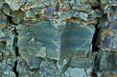 LABRADORO INOVACIJOS, UAB