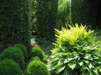 ARVYDO RUTKAUSKO ŪKIS