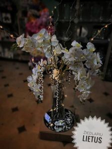 ŽIEDLAPIŲ LIETUS, UAB