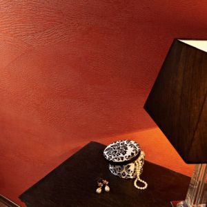 DAŽAU.LT, UAB - statybiniai dažai, gruntai, didmeninė ir mažmeninė prekyba Vilniuje, landšafto projektavimas. (Dažų centras)