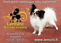 LEMUR EXCLUSIVE, UAB