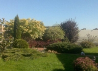 SODAS TAU - sodybų priežiūra, apželdinimo paslaugos