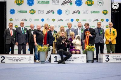 Kinologijos renginiai šunų mylėtojams