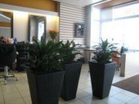 POPSUN  grožio studija, UAB KRIJUTA