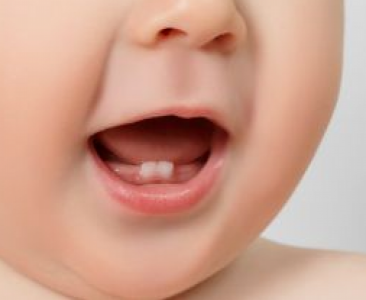 EP ODONTOLOGIJOS KLINIKA, UAB - odontologų paslaugos suaugusiems ir vaikams  Raseiniuose, Ariogaloje