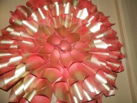 GĖLĖS, parduotuvė