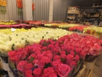 JONAGĖLĖ, UAB - didmeninė gėlių prekyba Jonavoje