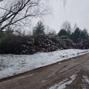 KRŪMAS, UAB - miškininkystės paslaugos, medienos bei žaliavos biokurui ruoša