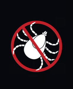 Erkių naikinimo bei prevencijos sprendimai padeda užtikrinti sveiką ir saugią aplinką.