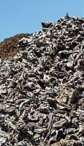 Metalo laužo supirkimas Pasvalyje ir apylinkėse