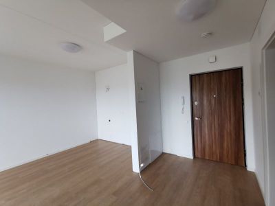 ULESTA, UAB - pilna vidaus apdaila, renovacija, griovimo darbai Vilnius, Vilniaus rajonas