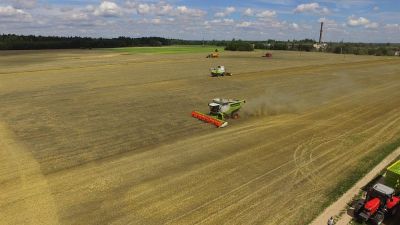 Č. MOROZ ŪKIS - grūdinės kultūros, kukurūzai, rapsai, žirniai didmeninė prekyba Šalčininkuose, Vilniaus apskrityje