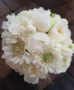 GĖLIŲ KRAUTUVĖLĖ, R. Mozūraitytės IVV - gėlės ir šventinė atributika Kretingoje