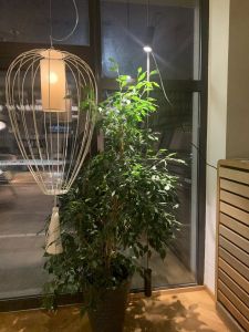 KANDELAS, lights boutique - šviestuvai, apšvietimo projektavimas, priglaistomos profilinės sistemos, antviršinės profilinės sistemos, nuo sienos iki sienos įtempiamos sistemos