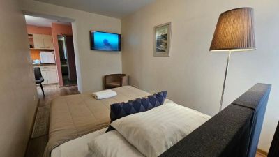 Modernus ir jaukus kambarys Nilėja apartamentuose