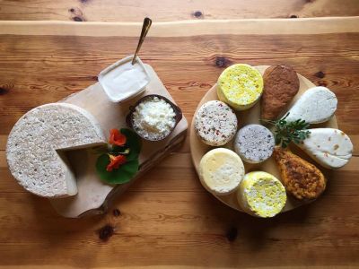 AUGŲ ŪKIS, AUGŲ SŪRINĖ