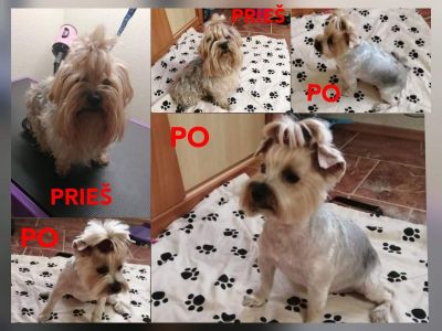 PAS TOBĮ