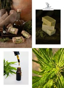 STRAZDŲ ŽALIASIS AUKSAS, MB