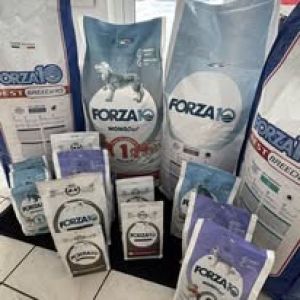 Kokybiškas maistas gyvūnams Šakiuose
