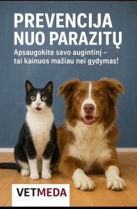 Gyvūnų vakcinavimas Šakiai