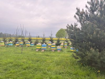 Valūnų bitynas Naniškių g. 28, SENŲJŲ NANIŠKIŲ K. VARĖNOS R.