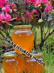 Bičių produktai ir medus iš Dzūkijos gamtos
