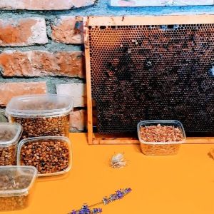 Natūralūs bičių produktai: bičių duonelė, vaškas ir propolis
