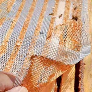 Aukštos kokybės bičių propolis rinktas specialiu tinkleliu
