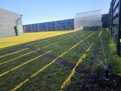 Vejos įrengimas, apželdinimo   ir laistymo darbai – nuo projekto iki rezultato