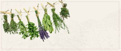 Homeopatiniai preparatai vaistinėje Širdažolė