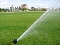 ŽALIASIS KAMPAS, UAB - sodo ir daržo technika, aplinkotvarka