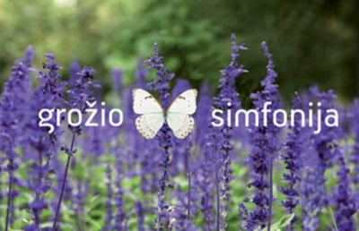 GROŽIO SIMFONIJA, V. Šmitienės IĮ