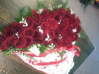 BLENDA, UAB - gėlių salonas, puokštės, interjerų puošimas, dovanų pakavimas, gėlių pristatymas, apželdinimas Ukmergė