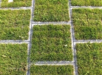 ŽALIASIS ROJUS, UAB