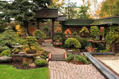 BONSAI STUDIJA, VšĮ - bonsai, dekoratyviniai augalai, aplinkos, kraštovaizdžio projektavimas ir apželdinimas visoje Lietuvoje