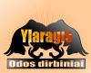 YLARAGIS, IĮ