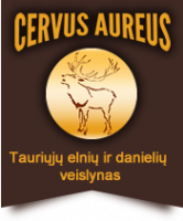 CERVUS AUREUS, UAB