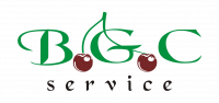 BGC SERVICE, UAB