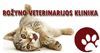 ROŽYNO VETERINARIJOS KLINIKA, UAB - veterinarijos paslaugos, veterinaras Panevėžyje